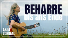 Beharre bis ans Ende - Anja Schraal