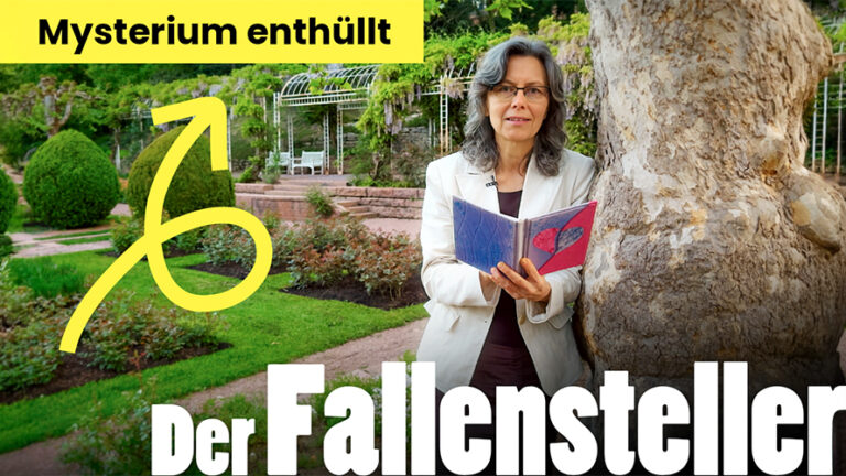 Der Fallensteller - Mysterium enthüllt
