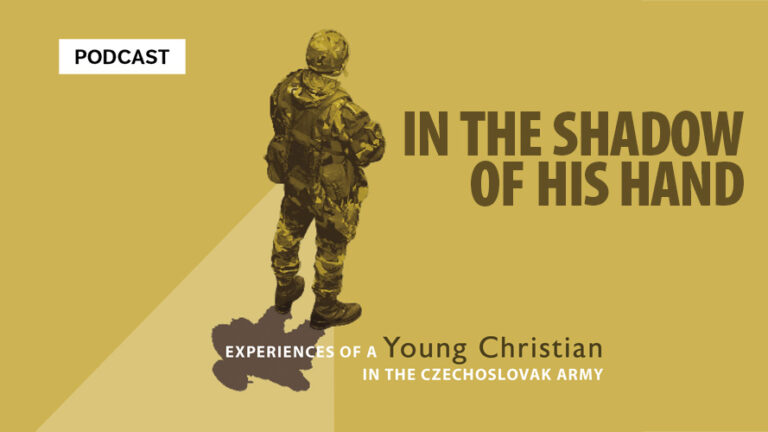 IN THE SHADOW OF HIS HAND - Soldier