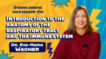 1 - Introduction to the anatomy of the respiratory tract and the immune system