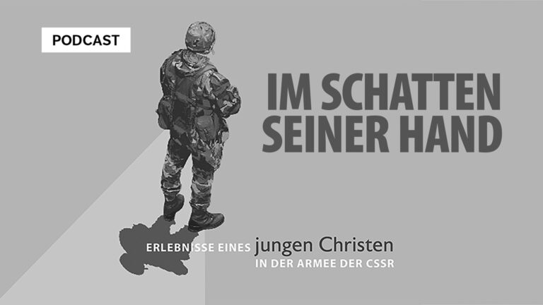 Im Schatten Seiner Hand - Soldat