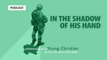 IN THE SHADOW OF HIS HAND - Soldier