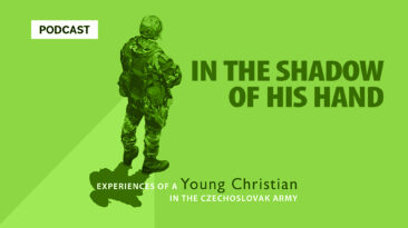 IN THE SHADOW OF HIS HAND - Soldier