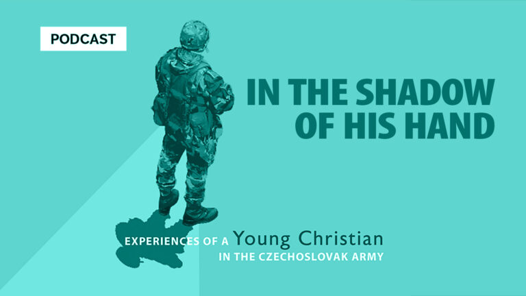 IN THE SHADOW OF HIS HAND - Soldier