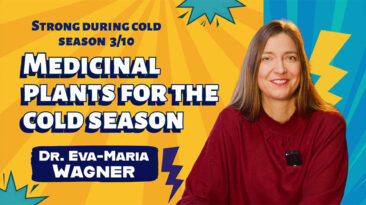 Medicinal plants for the cold season from God’s pharmacy - Eva-Maria Wagner