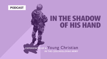 IN THE SHADOW OF HIS HAND - Soldier
