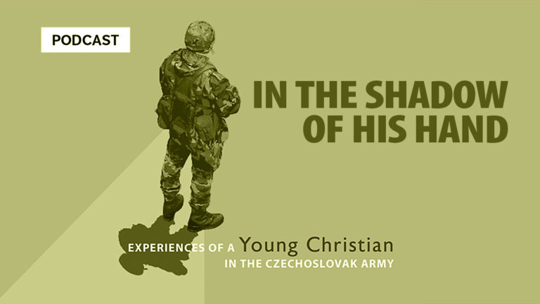 IN THE SHADOW OF HIS HAND - Soldier