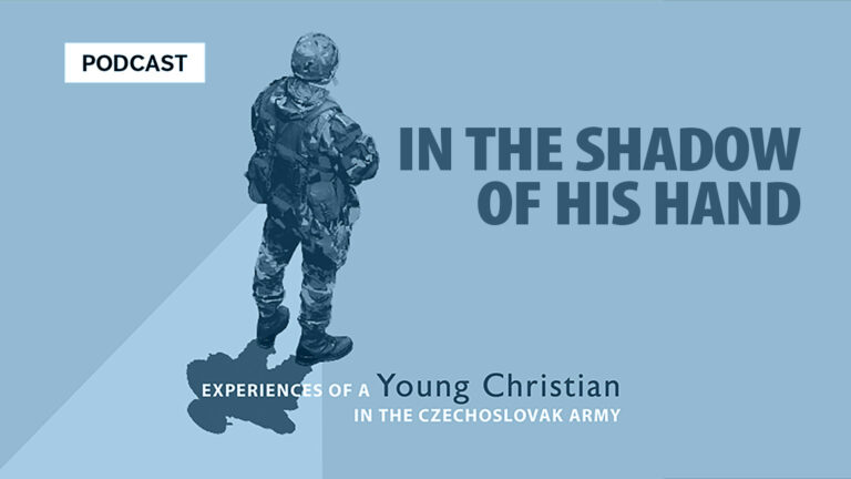 IN THE SHADOW OF HIS HAND - Soldier