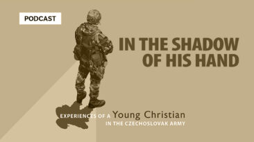 IN THE SHADOW OF HIS HAND - Soldier