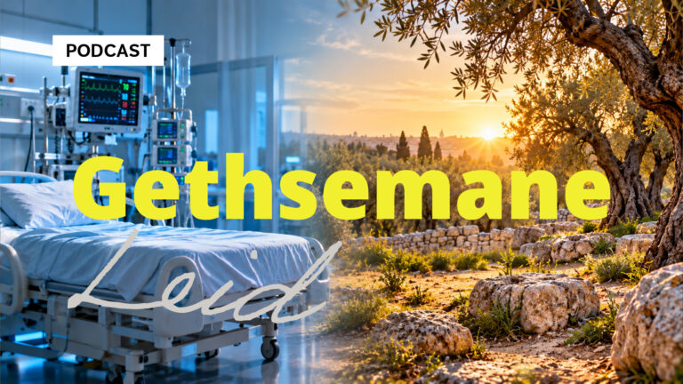Intensivstation mit Krankenbett links und Olivenhain im Sonnenlicht rechts, darüber die Schriftzüge „Gethsemane“ und „Leid“.